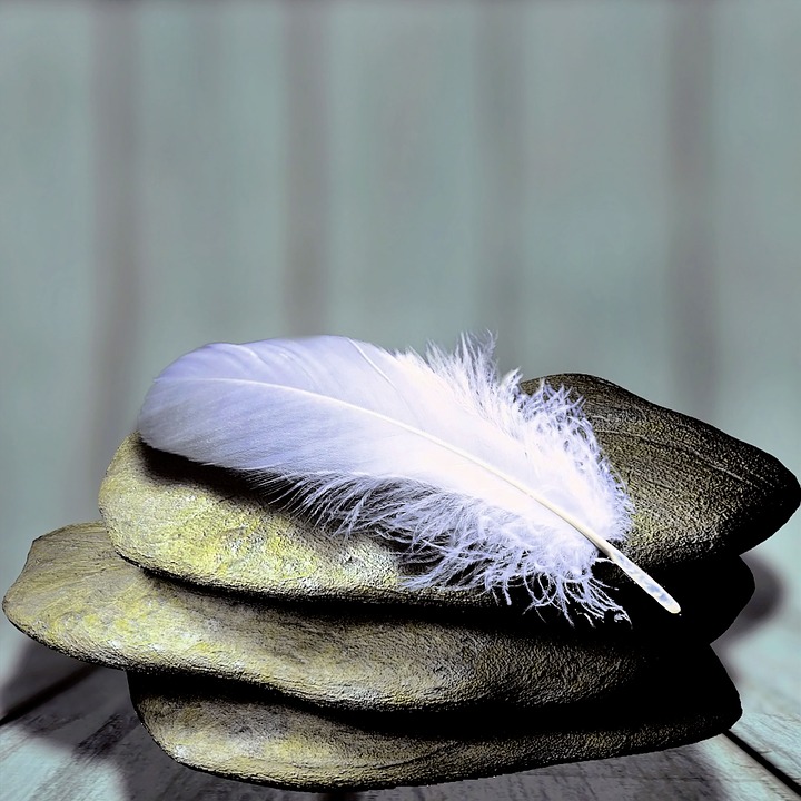 feather-1359097_960_720